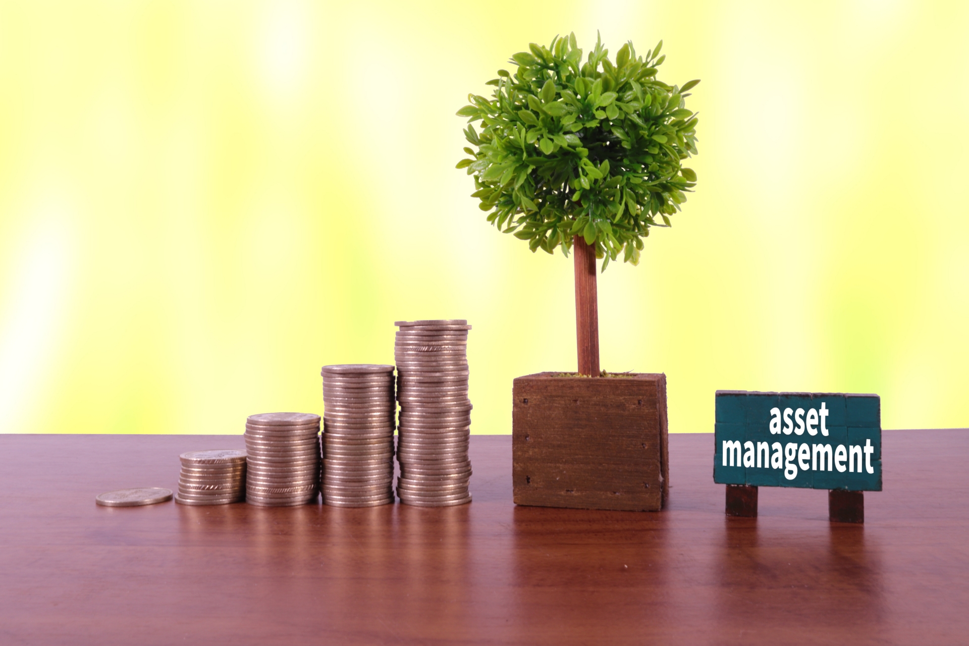 アセットマネジメントとは？自分に適した投資信託を選択するために わたしのIFA